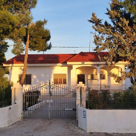 B&B Villa Vittorio Galatone Buitenkant foto