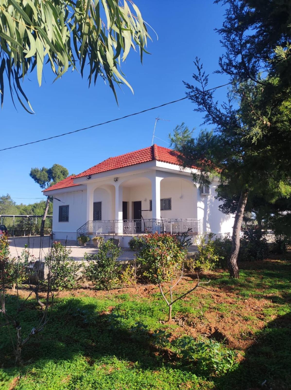 B&B Villa Vittorio Galatone Buitenkant foto