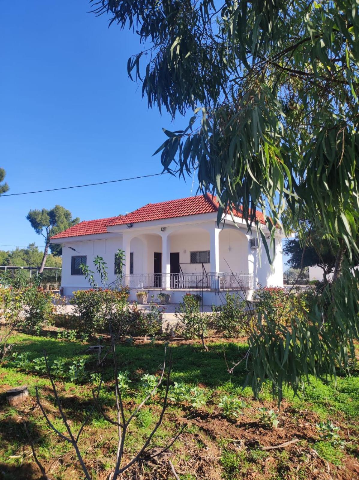B&B Villa Vittorio Galatone Buitenkant foto